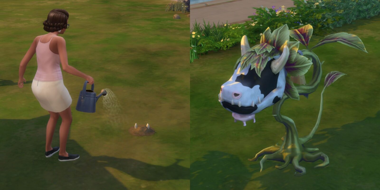 How To Get A Cowplant In The Sims 4