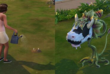 How To Get A Cowplant In The Sims 4