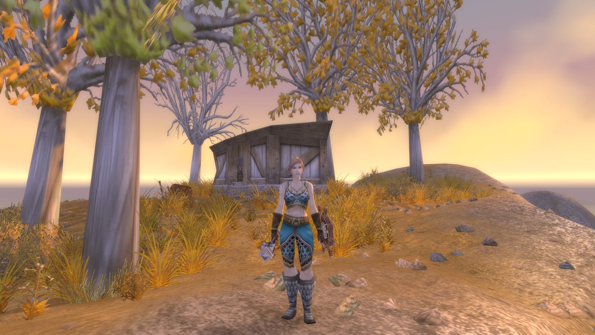 A human paladin on a island off the coast of Westfall.