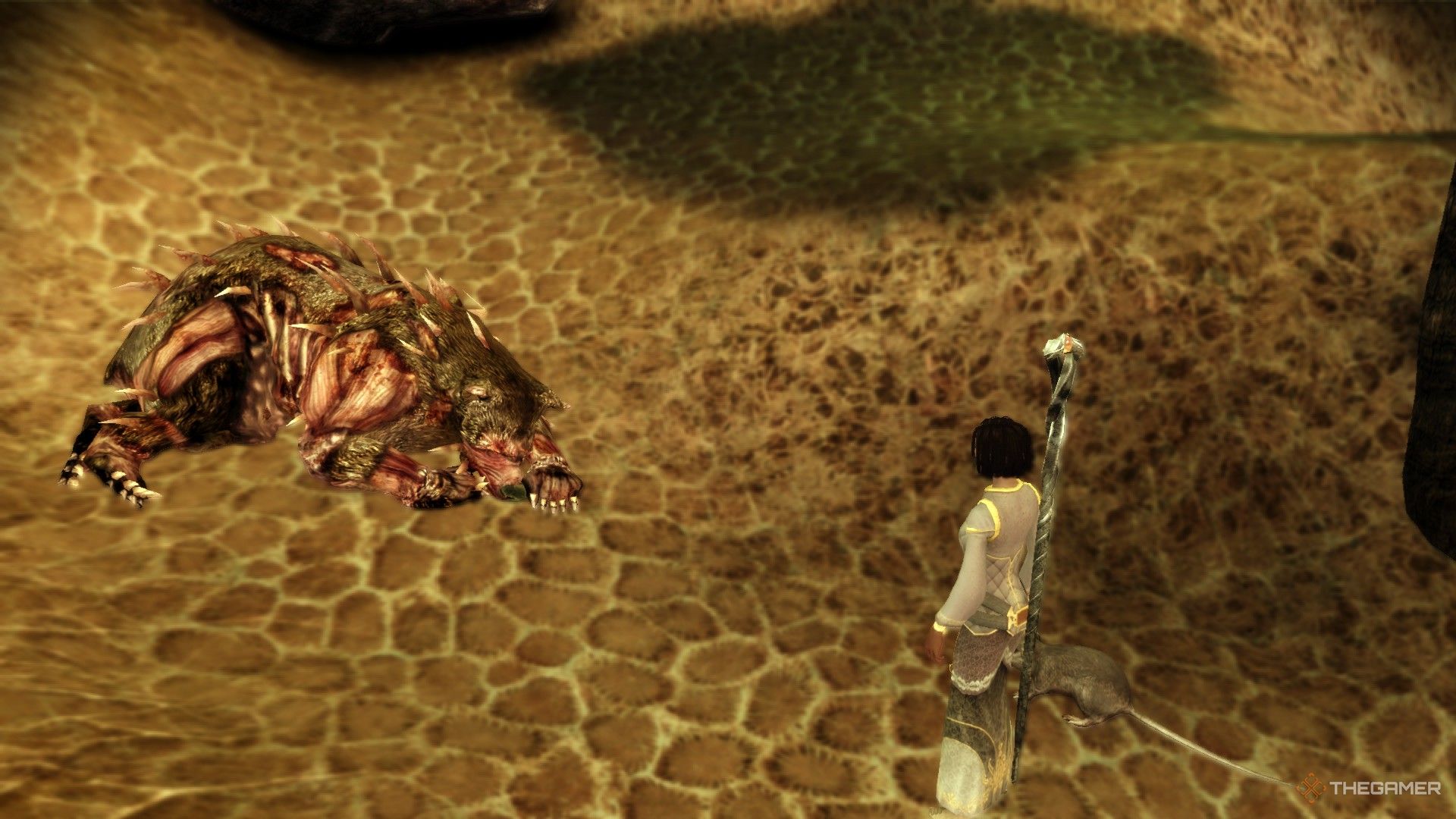 A mage in front of a Sloth Demon in the Fade in Dragon Age Origins.