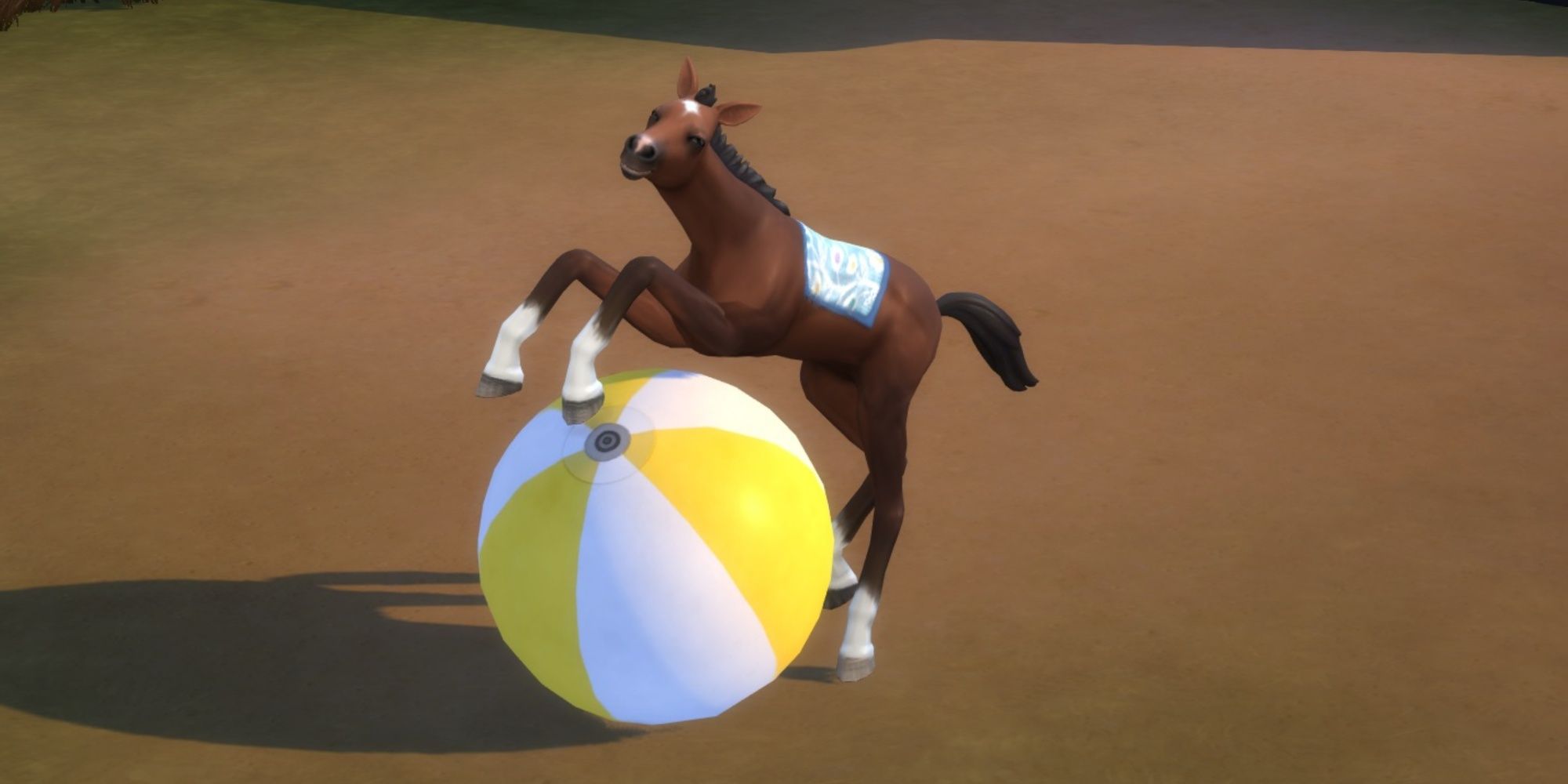 foal playing with horse ball