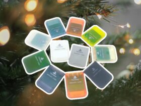 Memory Cards Used To Make Christmas Great