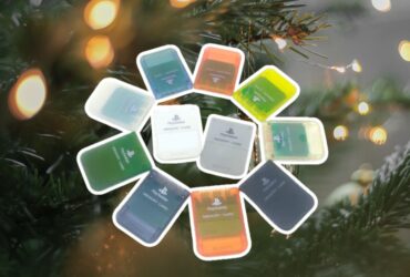 Memory Cards Used To Make Christmas Great