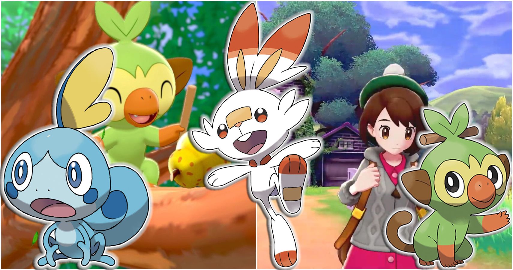 Pokemon Sword Shield Feature