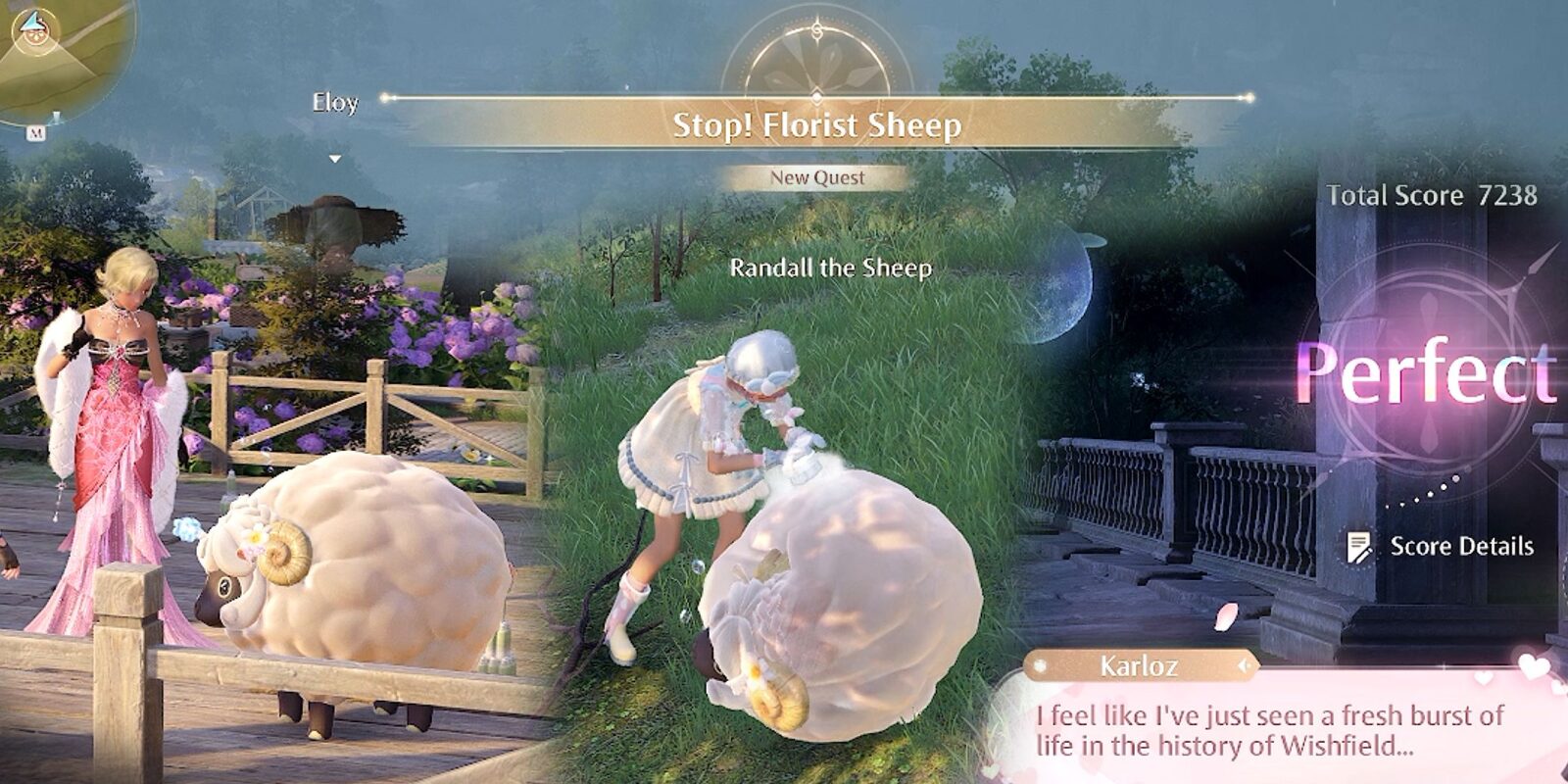 Stop! Florist Sheep Quest Guide