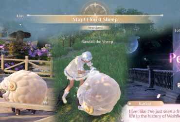 Stop! Florist Sheep Quest Guide