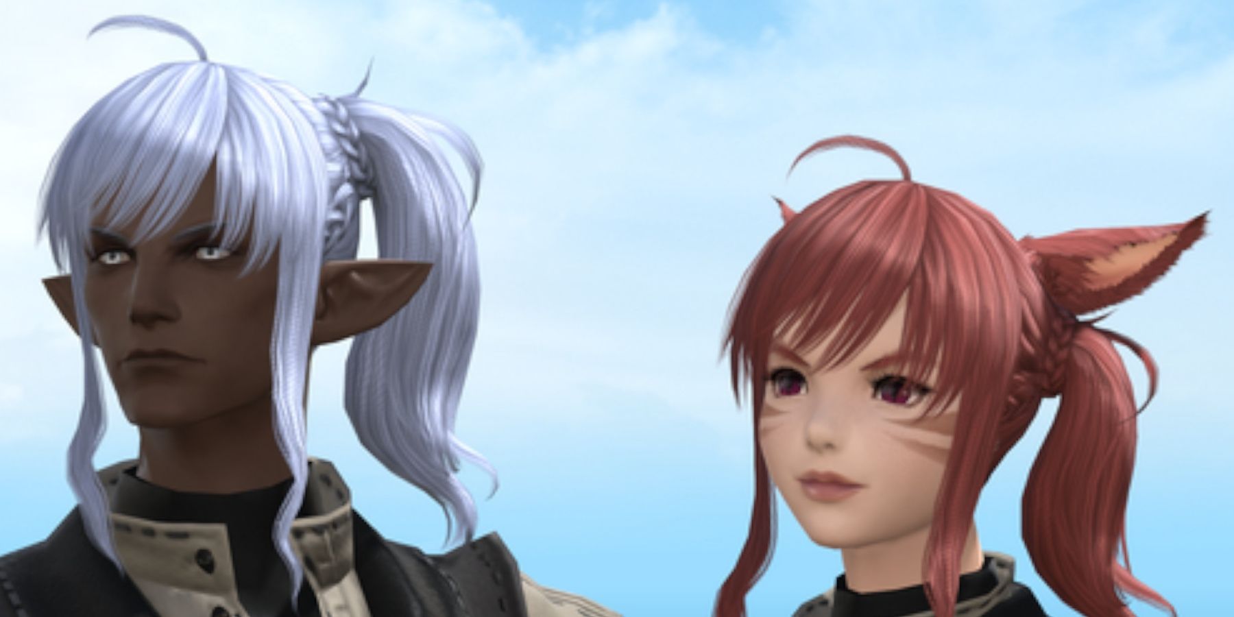 Elezen and miqo'te with side ponytails.