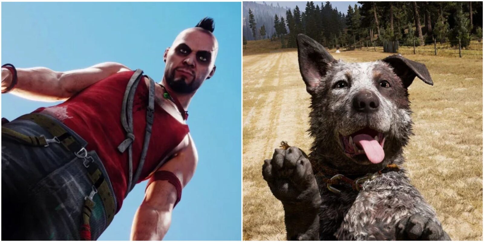 Far Cry Games With The Best Gameplay, Ranked