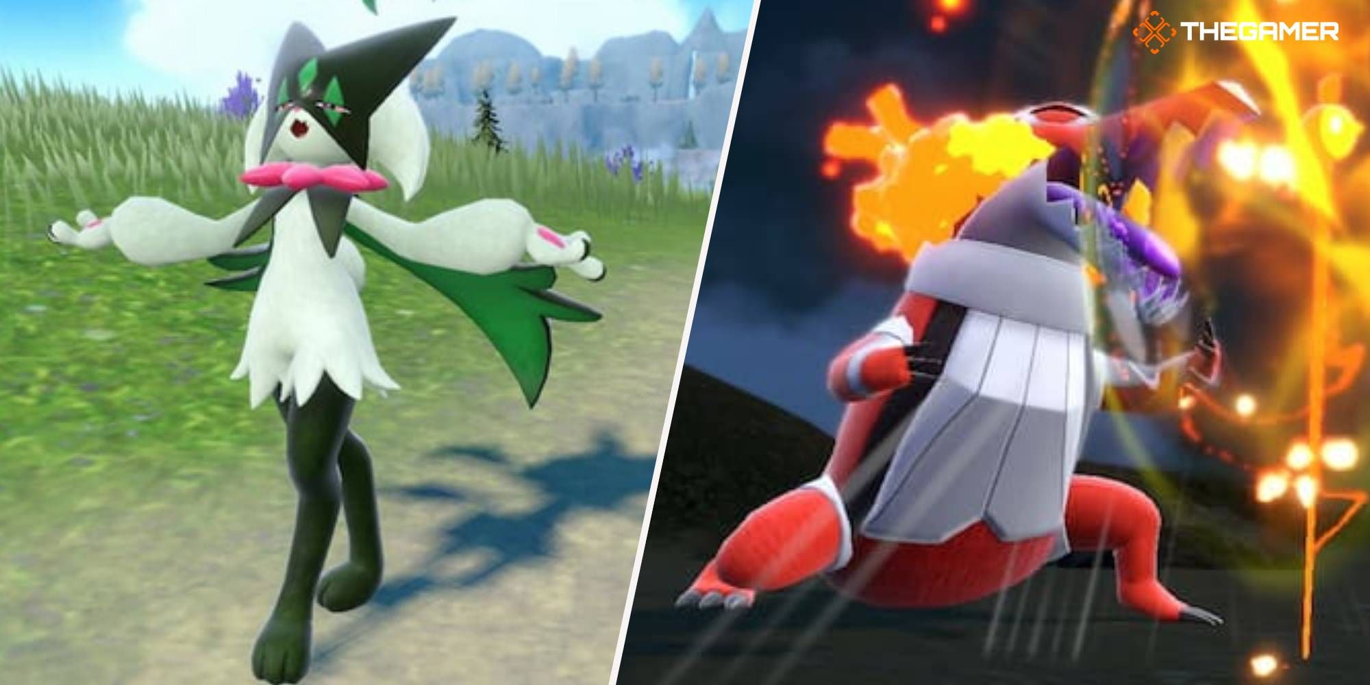 Pokemon split image depicting humanoid like grass pokemon and fire dragon type pokemon