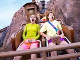 Must Ride Disney World Attractions