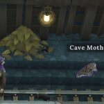 How To Find The Cave Moth 