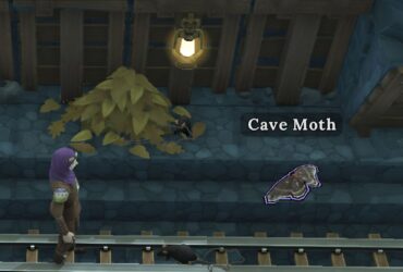 How To Find The Cave Moth 