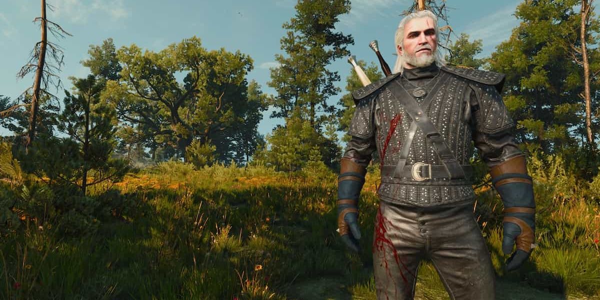 witcher 3 forgotten wolven armor