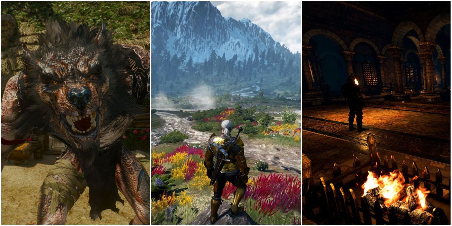 Witcher 3 Best Graphics Mods