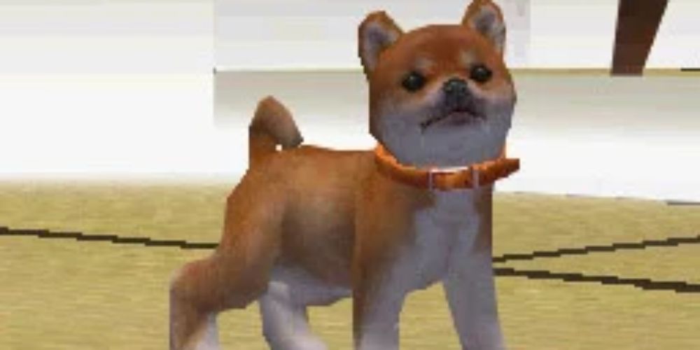 Nintendogs screenshot of a Shiba dog.