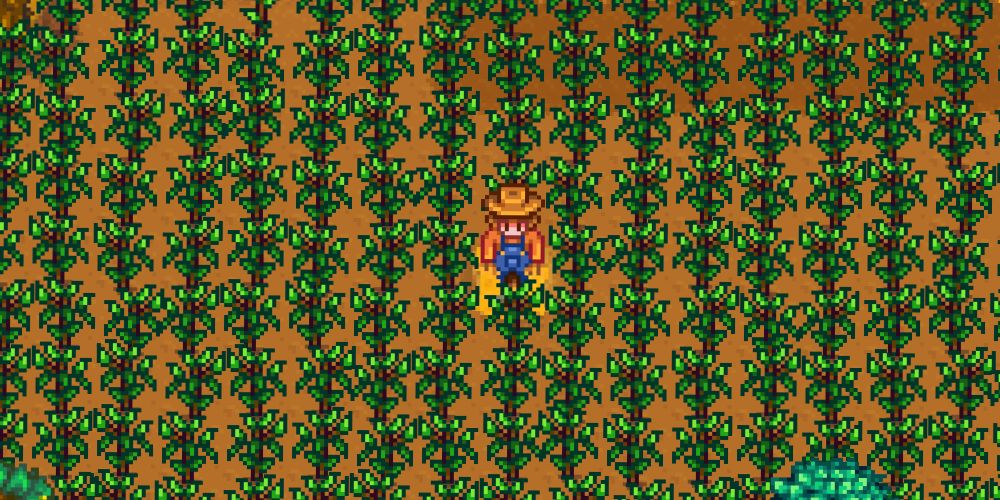 Stardew Valley blueberries crops