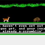 There's a free version of The Oregon Trail where you start out with dysentery and have to make it across the country without pooping your pants