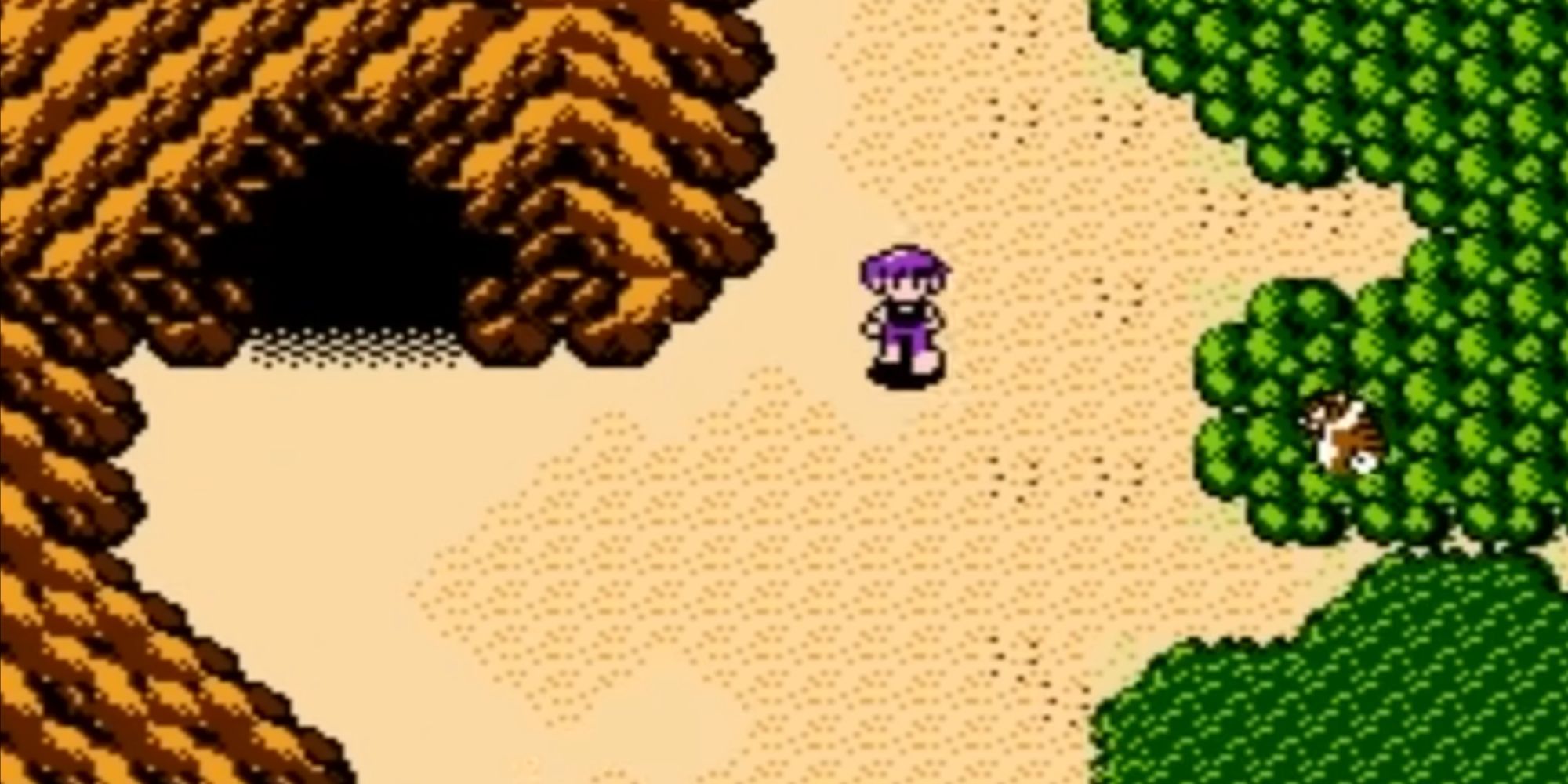 Simea walks through a sandy area beside a forest.