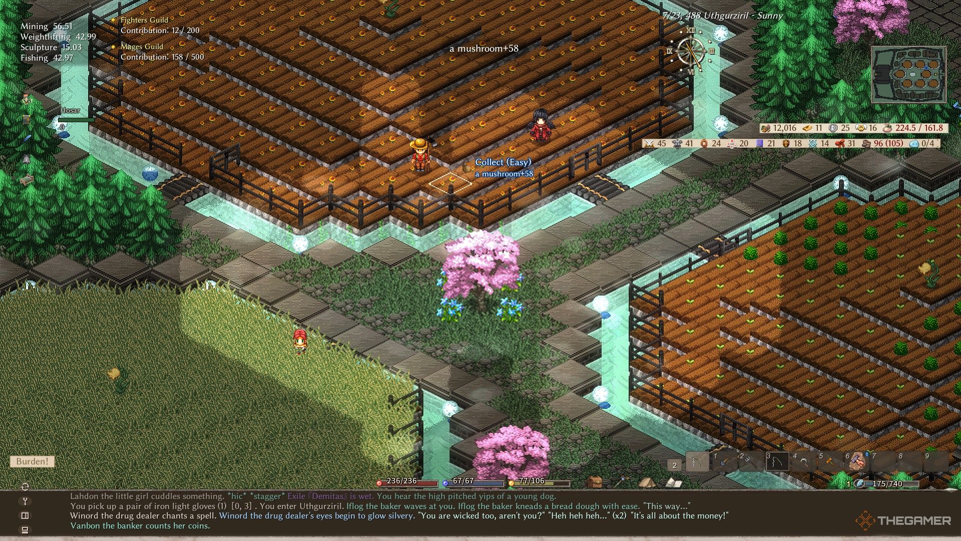 A large farm in Elin containing assorted berries, mushrooms and grains. 