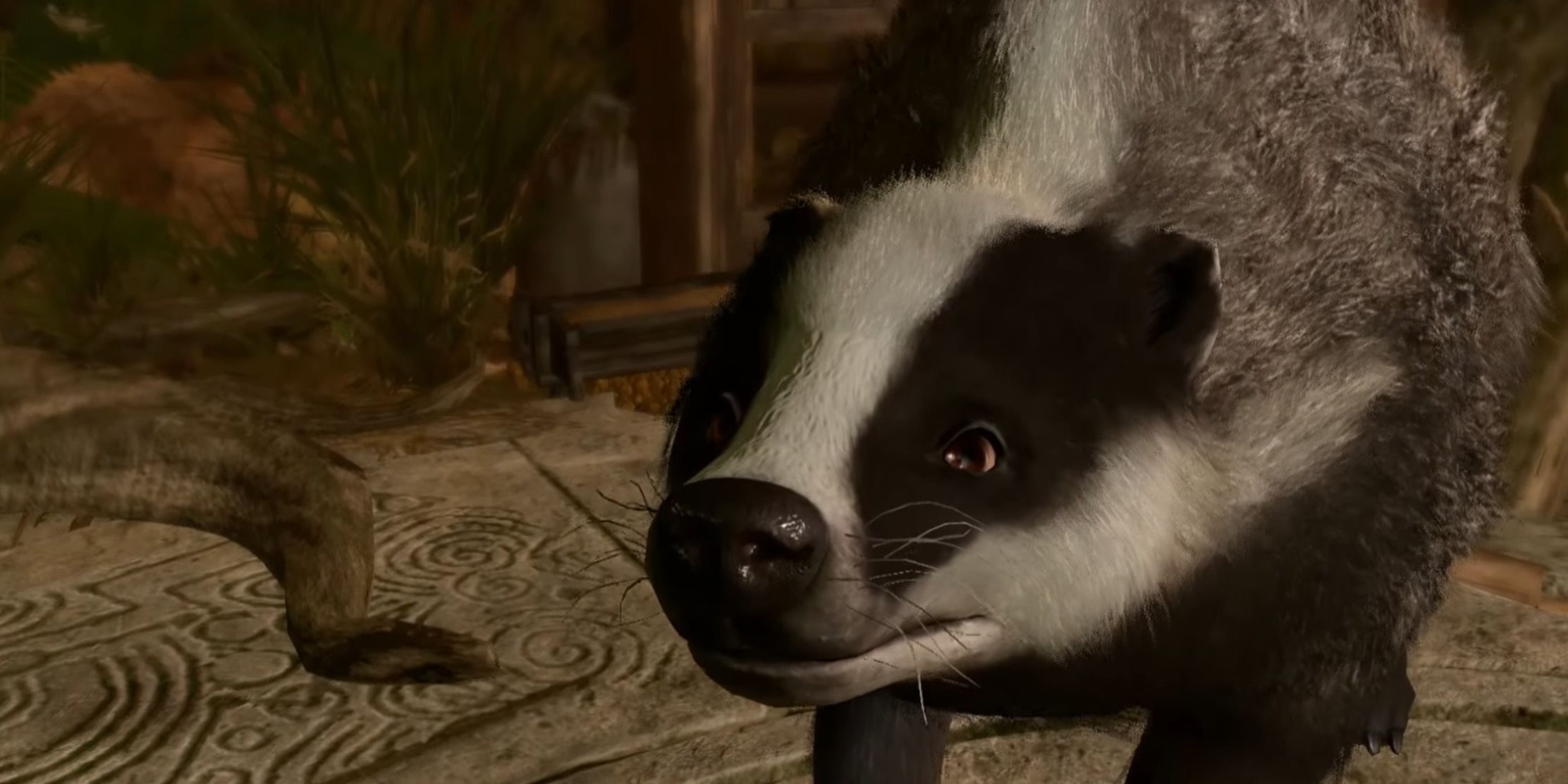 postmaster badger in jaheira's basement