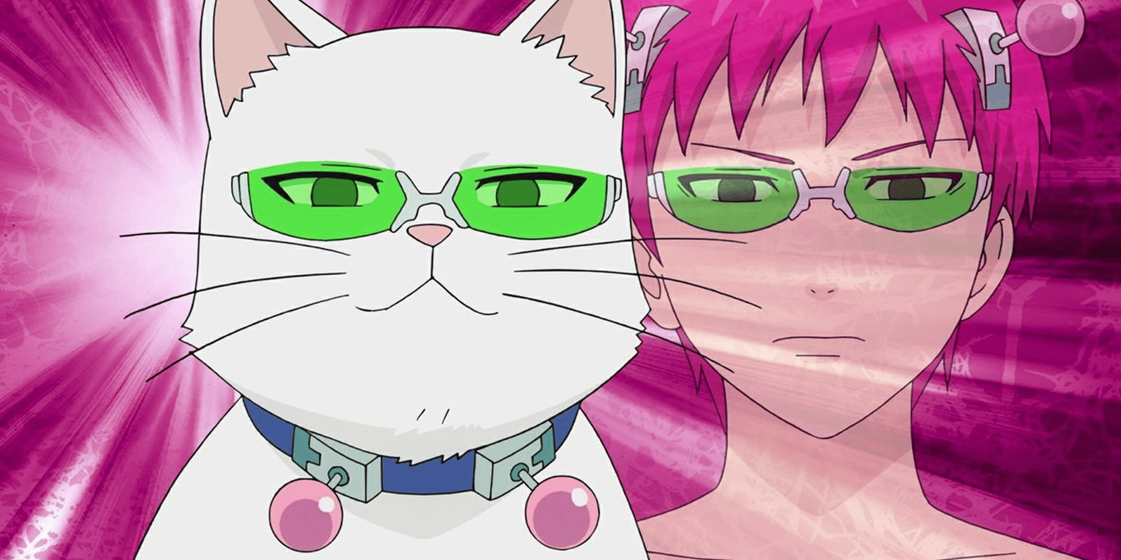 Best Anime Character That Can Talk to Animals Saiki