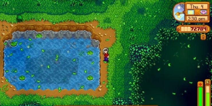 stardew-valley-secret-woods-fishing