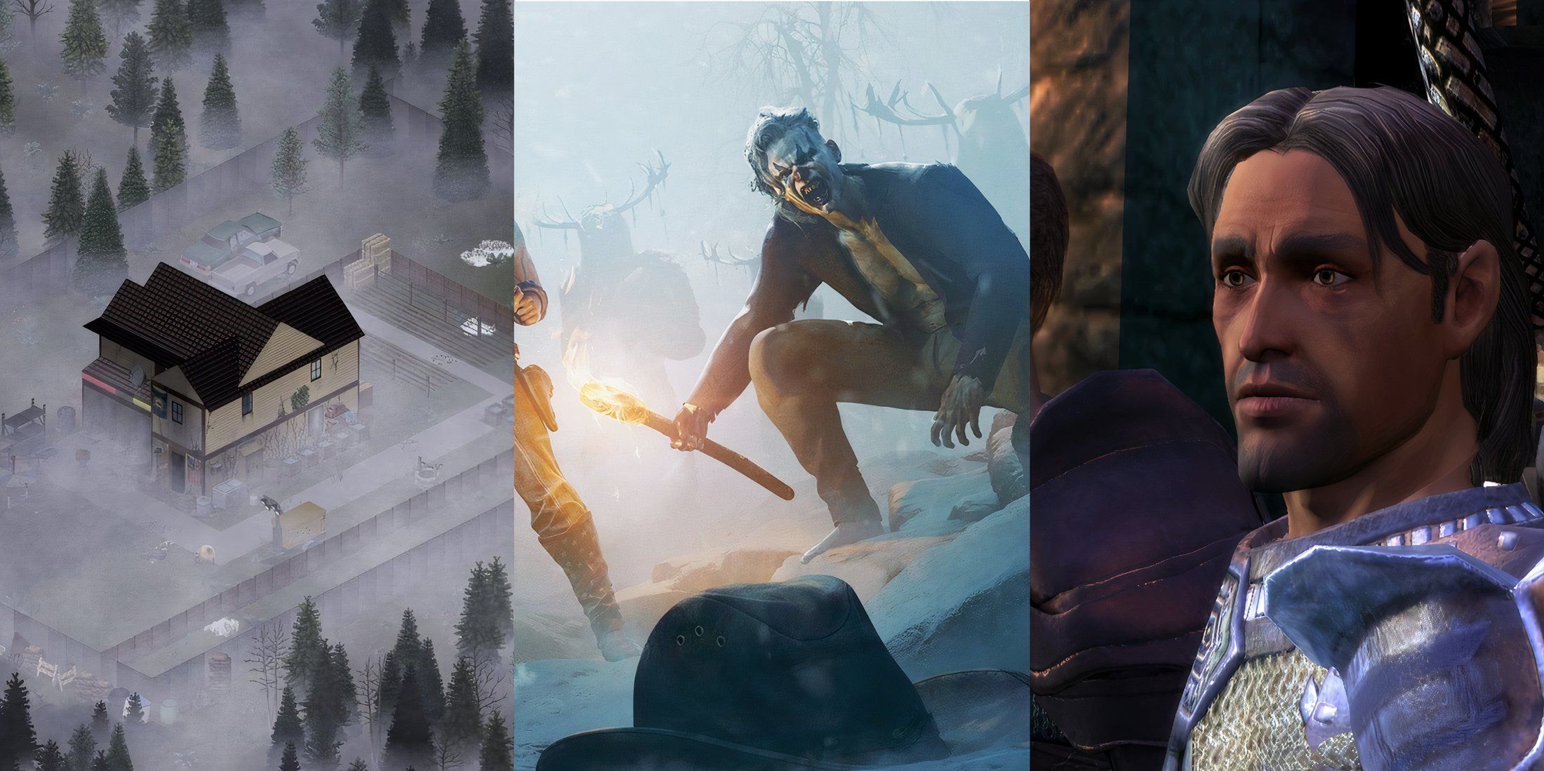 Zomboid, Wasteland 3, Dragon Age: Awakening