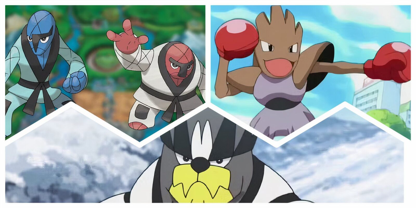 Best Pokemon Based On Martial Arts