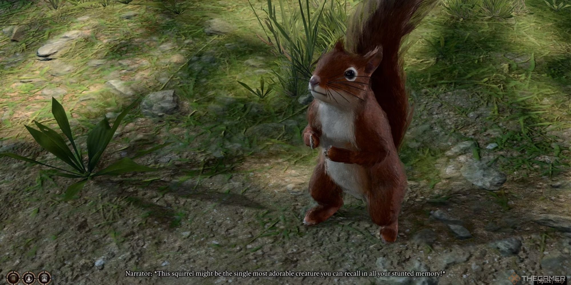 Timber the squirrel clasping her little paws together and standing when talking to the player character at her spot in the Emerald Grove. 