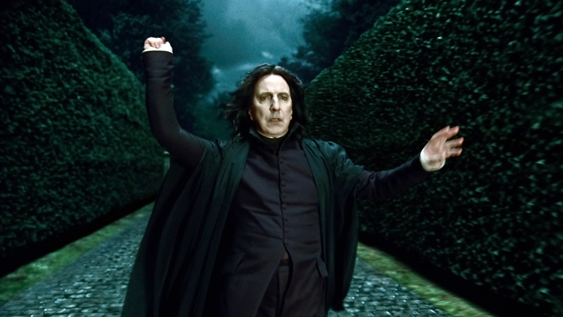 Alan Rickman as Severus Snape