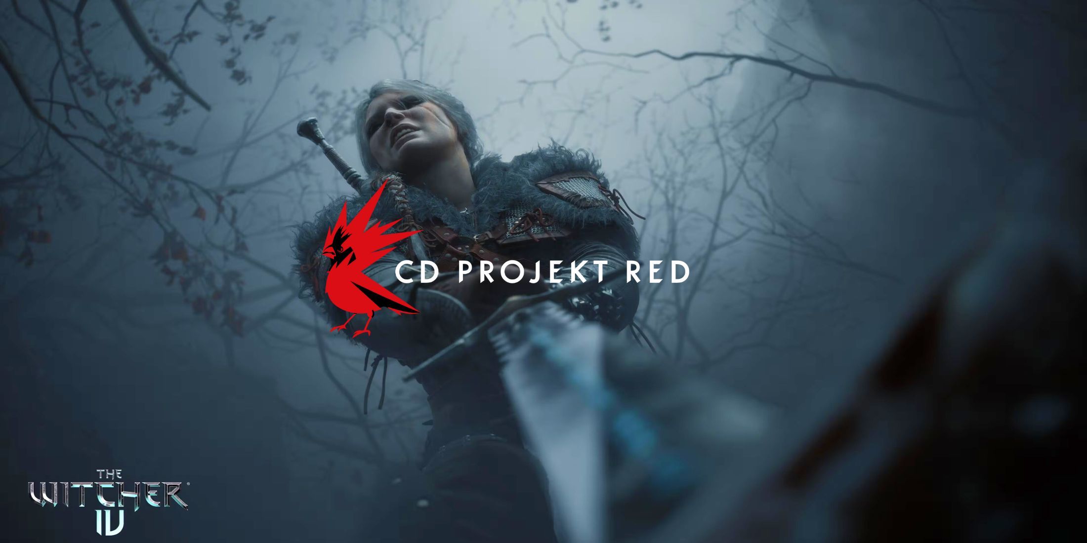 CD Projekt Red ambition The Witcher 4 