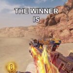 Call of Duty: Mobile (Twitter) You voted, and...