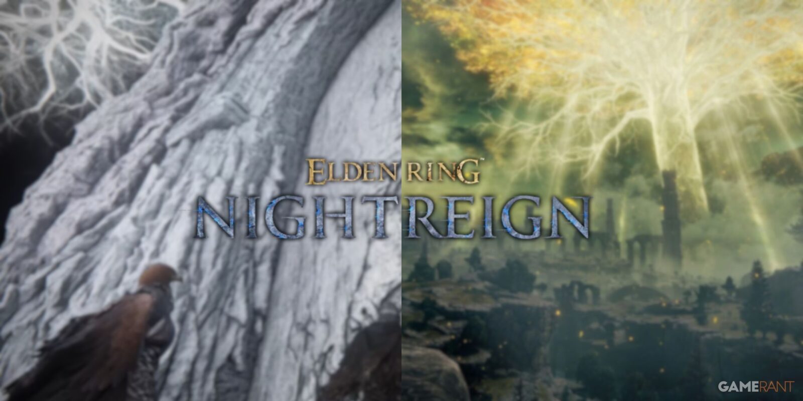 Elden Ring: Nightreign - Where is the Erdtree?