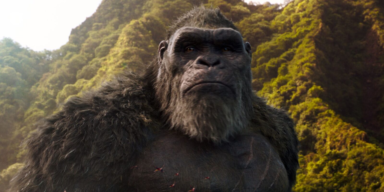 Fortnite Could Be Adding a King Kong Boss Fight in Chapter 6