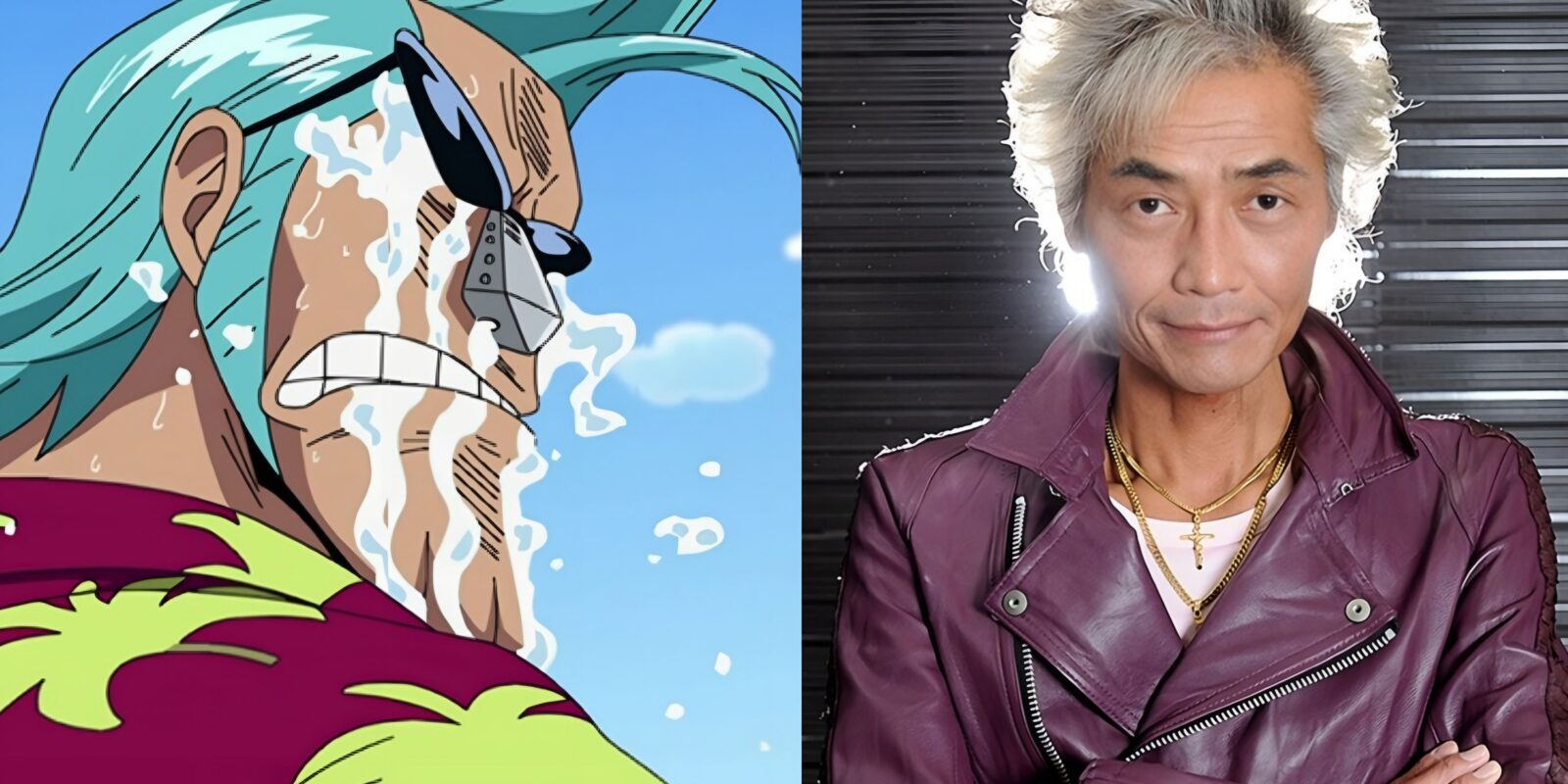 Franky's Retired Voice Actor Posts An Emotional Message