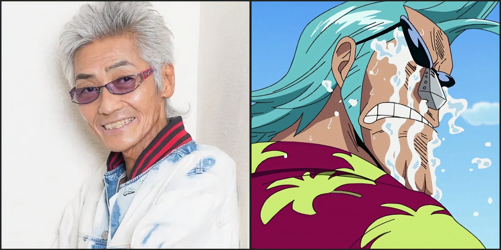 Franky's Voice Actor Announces He's Stepping Down From The Role