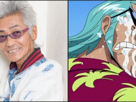 Franky's Voice Actor Announces He's Stepping Down From The Role