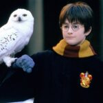 HBO's Harry Potter Series Has A Loft Goal In Mind Already