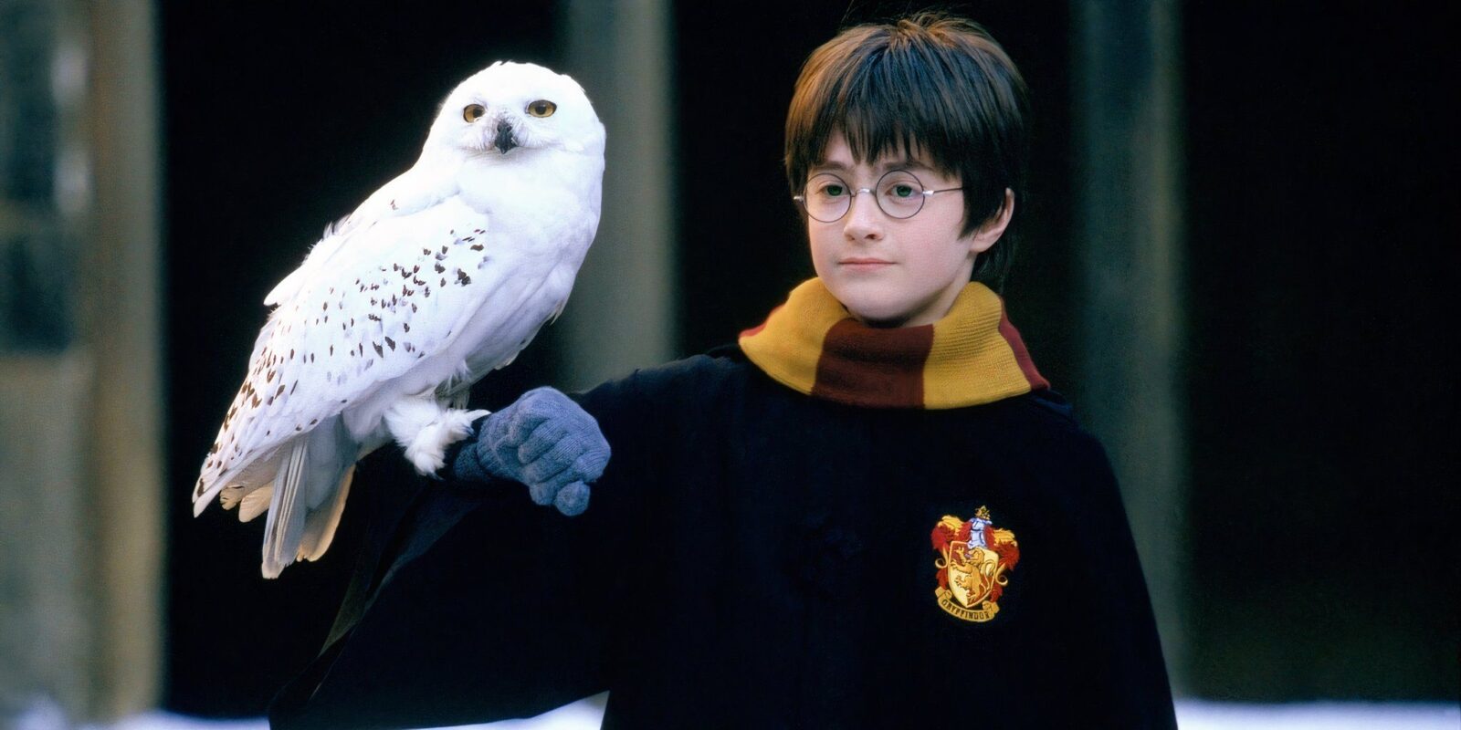 HBO's Harry Potter Series Has A Loft Goal In Mind Already