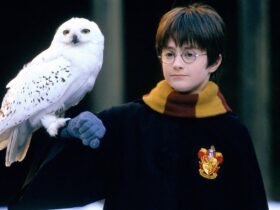 HBO's Harry Potter Series Has A Loft Goal In Mind Already