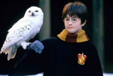 HBO's Harry Potter Series Has A Loft Goal In Mind Already