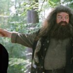 HBO's Harry Potter Series Has An Unexpected Actor In Mind for Hagrid