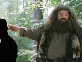 HBO's Harry Potter Series Has An Unexpected Actor In Mind for Hagrid