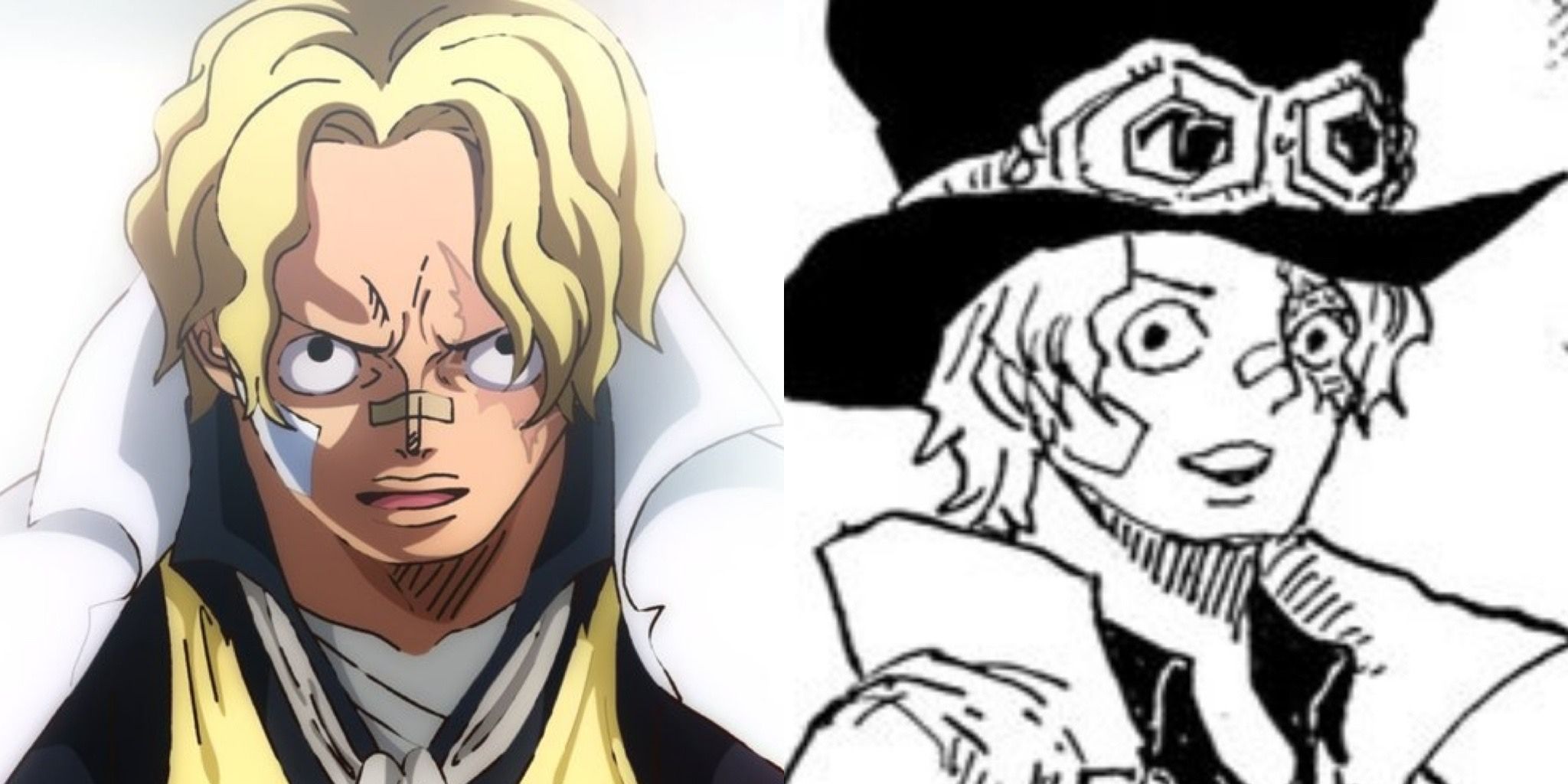 Sabo one piece