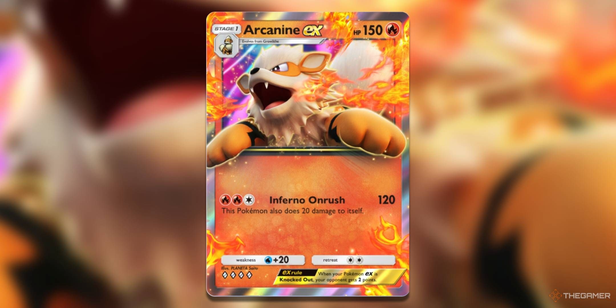 The Arcanine ex card, from Genetic Apex.