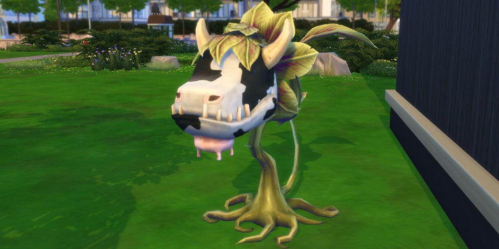 A picture of the rare Cowplant in The Sims 4, a Gardener Botanist path career reward.