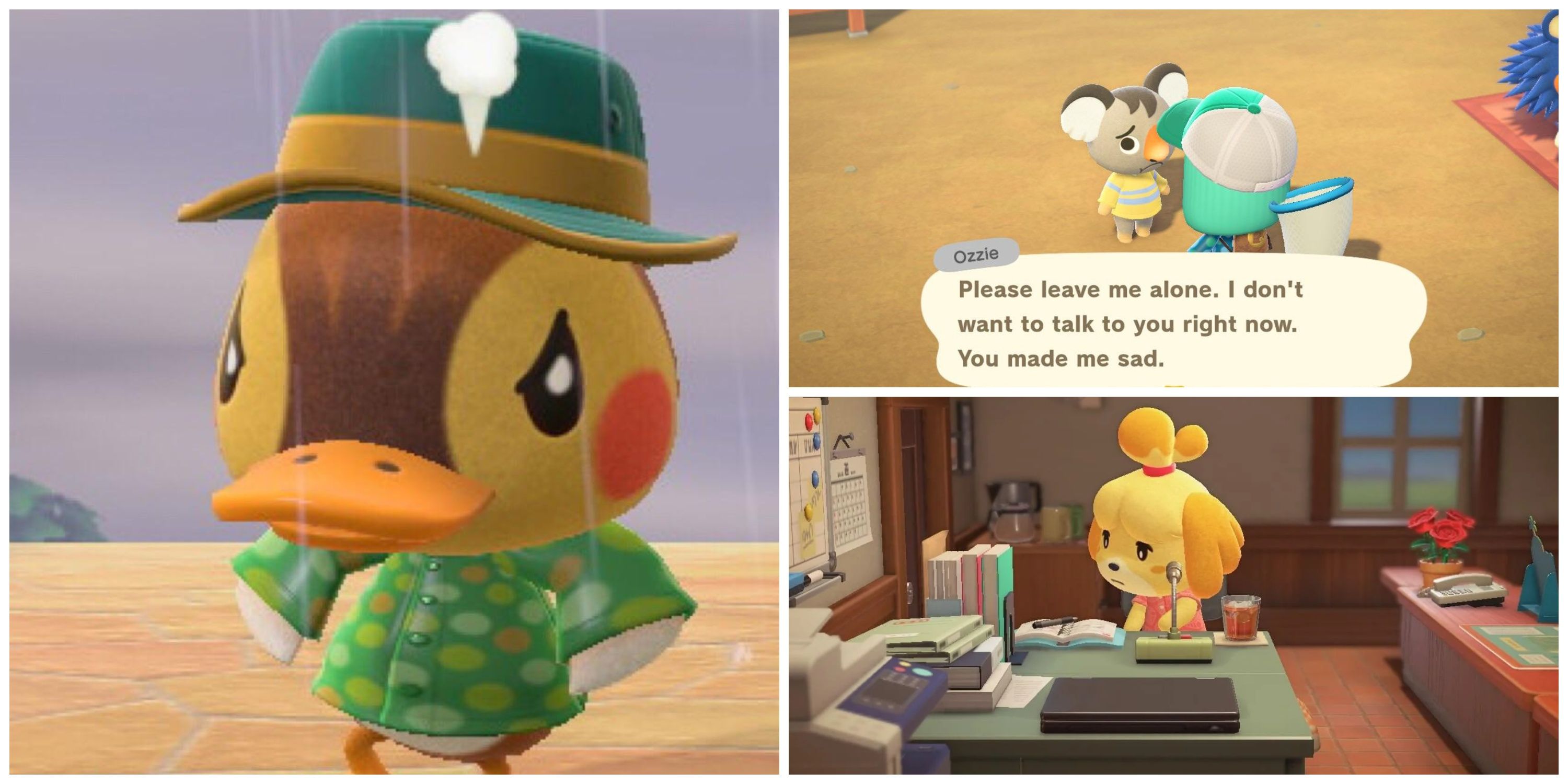 cute animal crossing villagers, isabelle at her work desk, sad villager asking to be left alone