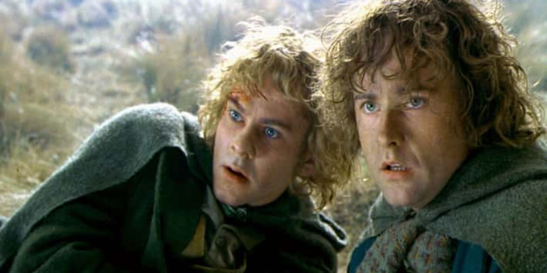 Merry and Pippin from Lord of the Rings