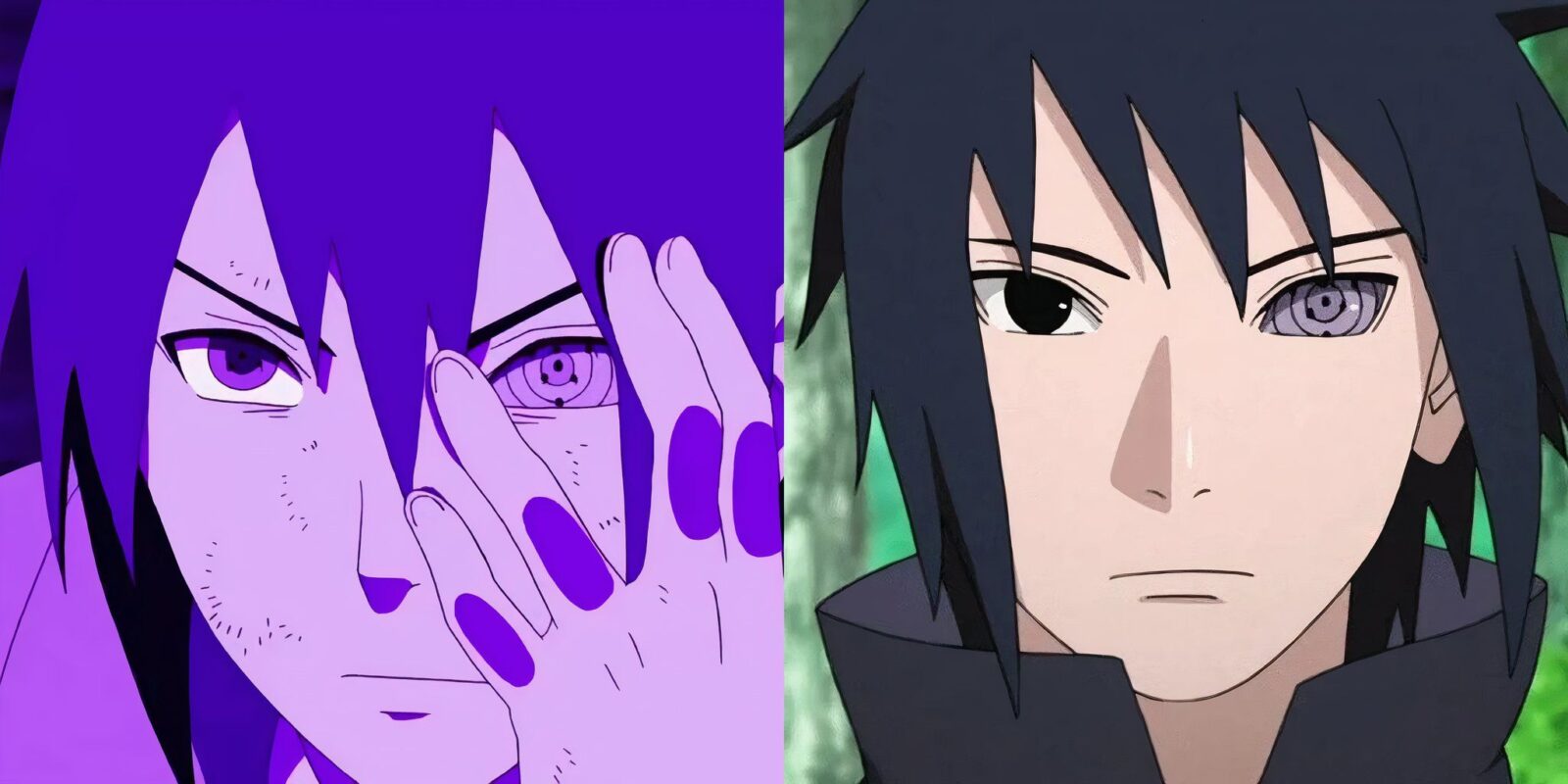 Naruto: Sasuke's Immortality, Explained