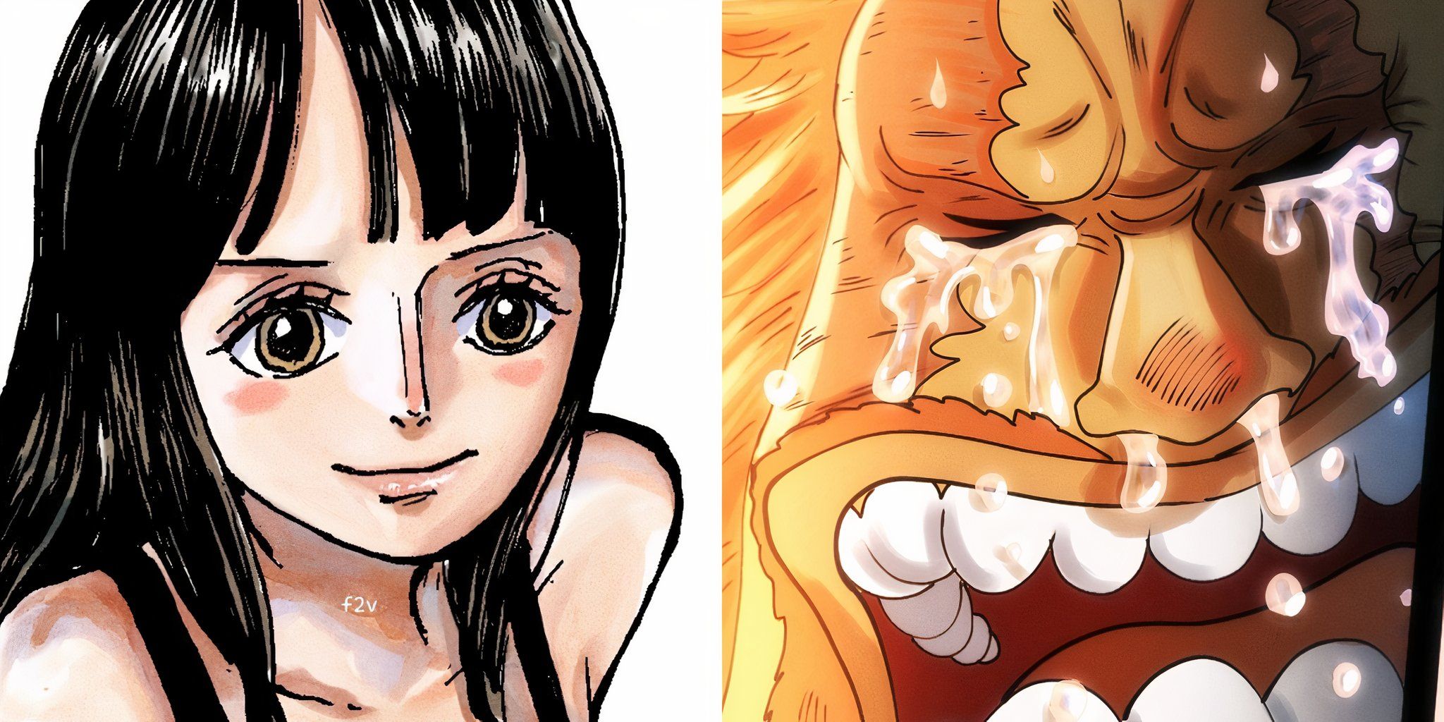 One Piece 1133 Nico Robin Gets Her Big Moment